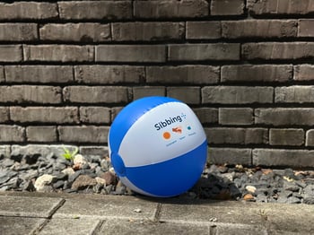 Strandbal met de kernwaarden van Sibbing